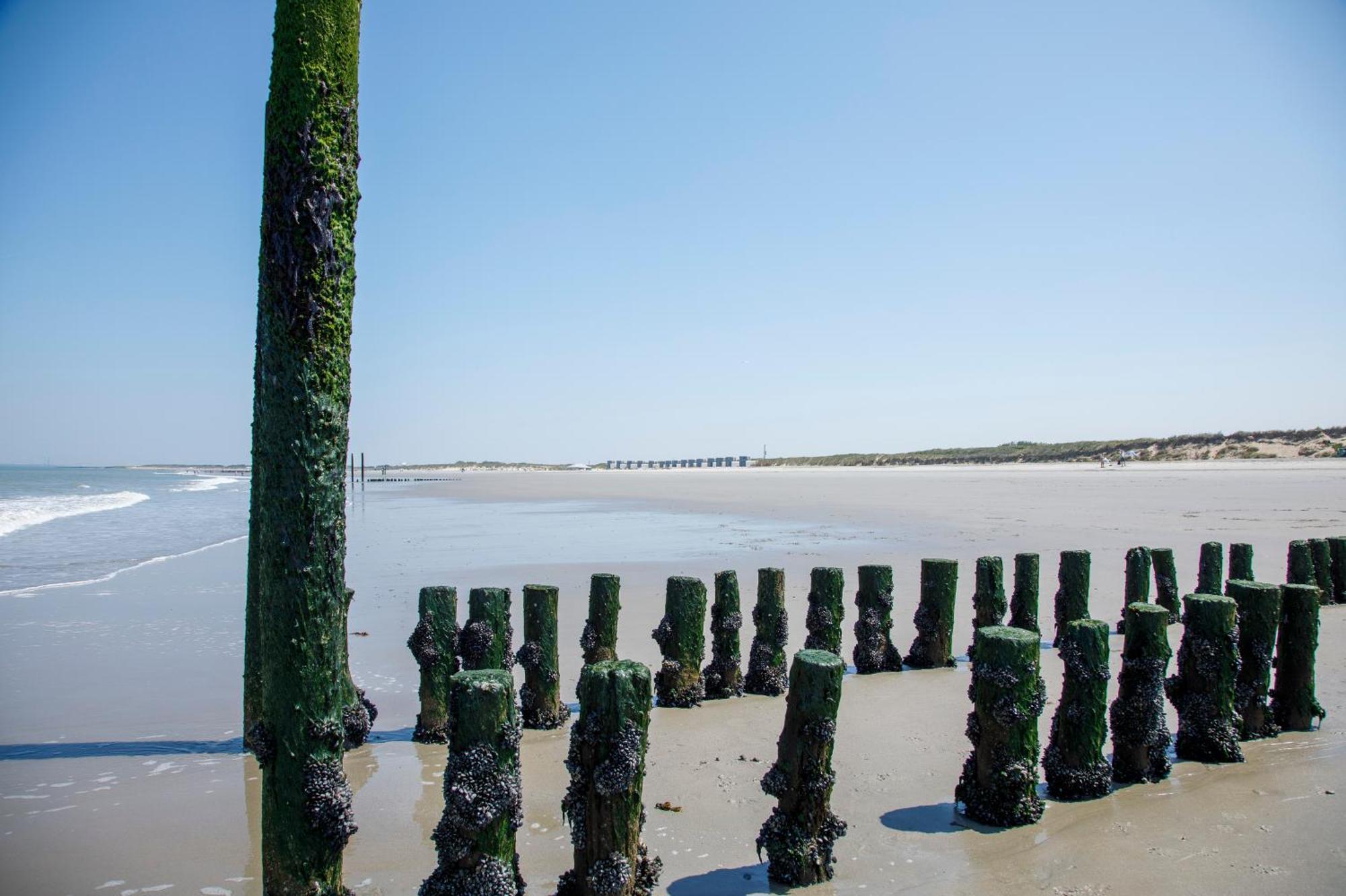 Zonneweelde, Vakantie Aan Zee Nieuwvliet Luaran gambar
